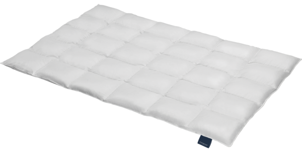 Daunendecke arktische Daune